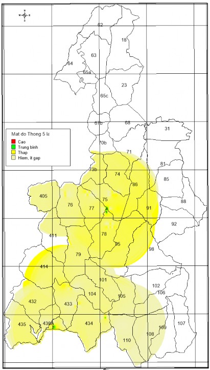 Hình 3 43 Bản đồ cấp mật độ quần thể Thông 5 lá ở VQG Kon Ka Kinh Cấp mật 6