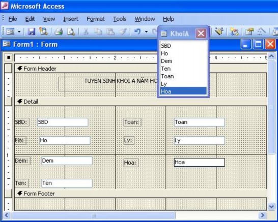 Có thể đặt thêm một trường Tong Tong Toan Ly Hoa bằng cách kích v ào 12 Text Box 7