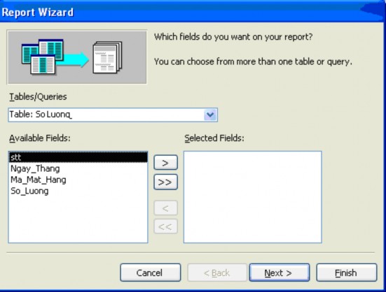  Dùng nút để chọn trường giả sử ta chọn các tr ường sau  Chọn Next ta 3