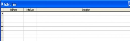 Ở dòng 1 ứng với cột Field Name gõ vào Stt và gõ Enter hoặc gõ mũi tên phải sau 5