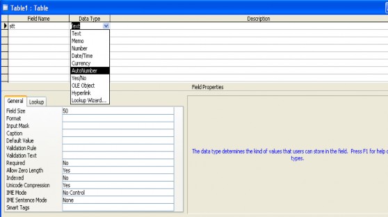 Tiếp tục ở dòng 2 ứng với cột Field Name gõ vào tên trường Ngay Thang và gõ 6