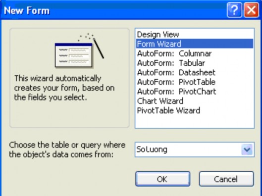  Và chọn OK ta có  Đến đây bạn có thể chọn tr ường cần đưa lên Form 13