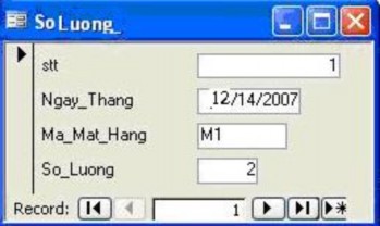 2 Biểu mẫu có dạng Tabular bảng 3 Biểu mẫu có dạng Datasheet bảng tính 4 Biểu 8