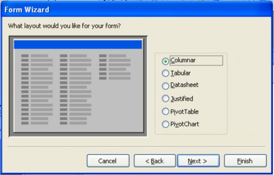  Hãy chọn 1 trong 6 kiểu Form Columnar Tabular Datasheet Justified Pivot Table PivotChart 1
