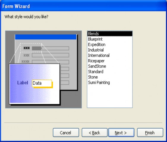 Hãy chọn một kiểu nền của Form ở cột phía bên phải Giả sử ta chọn kiểu 2