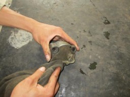 Lắp bơm dầu Thứ tự lắp bơm dầu bôi trơn Chú ý khí lắp tra dầu vào bánh 15