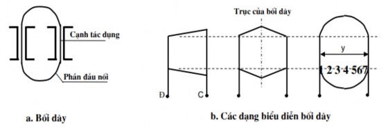 Hình 3 12 Bối dây gồm có Cạnh tác dụng Là một hay nhiều vòng dây được quấn 2