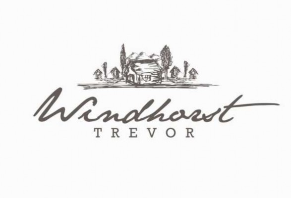 Logo thủ công đầy nghệ thuật của Windhost Đồ thủ công Phong cách thủ công 2