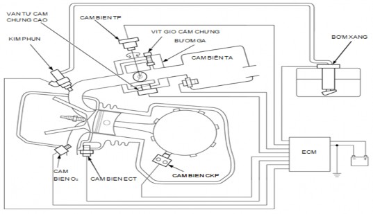 Hình 2 2 Các vị trí cảm biên trên hệ tống Cảm biên TP – cảm biến vị trí 4