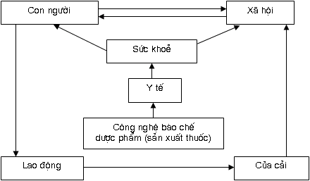 Hình 1 1 Vị trí vai trò của công nghệ bào chế dược phẩm đối với sức khỏe 1