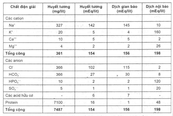 Khi người bệnh bị mất chất điện giải tỷ lệ các chất điện giải bị 1