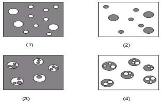 Hình 6 1 Các kiểu nhũ tương 1 N D 2 D N 3 D N D 4 N D N Dầu Nước 1 5 Phân loại nhũ 1