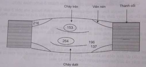 Hình 12 4 Phân bố lực nén trong lòng viên nén N mm 2 Khi dập viên nếu lực nén 4