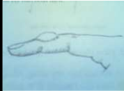 Hình 49 1 Viêm tấy đỏ ửng Hình 49 2 Viêm tấy có nốt phỏng 1 Triệu chứng 1 1 4