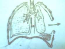 Thở vào Thở ra Hình 52 3 Rối loạn sinh lý trong vết thương ngực mở 3 Biến 4