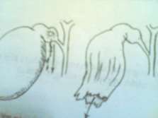 Hình 68 4 VMB do hoại tử mật Hình 68 5 Viêm màng bụng do nạo thai 3 Triệu chứng 8