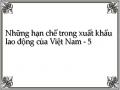 Thu Nhập Của Lao Động Việt Nam Ở Nước Ngoài Giai Đoạn 2004 - 2008