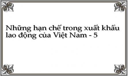 Thu Nhập Của Lao Động Việt Nam Ở Nước Ngoài Giai Đoạn 2004 - 2008