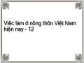 Việc làm ở nông thôn Việt Nam hiện nay - 12