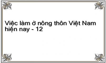 Việc làm ở nông thôn Việt Nam hiện nay - 12