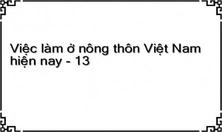 Việc làm ở nông thôn Việt Nam hiện nay - 13