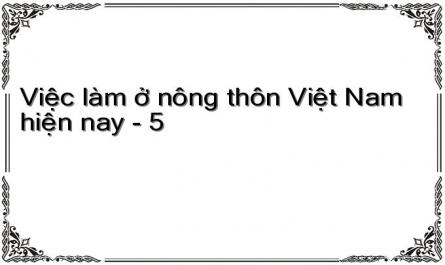 Việc làm ở nông thôn Việt Nam hiện nay - 5