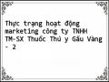 Thực trạng hoạt động marketing công ty TNHH TM-SX Thuốc Thú y Gấu Vàng - 2