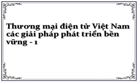 Thương mại điện tử Việt Nam các giải pháp phát triển bền vững - 1