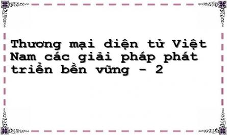 Thương mại điện tử Việt Nam các giải pháp phát triển bền vững - 2