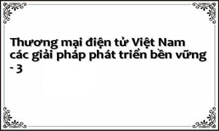 Thương mại điện tử Việt Nam các giải pháp phát triển bền vững - 3