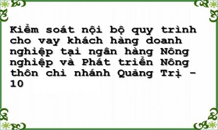 Nhận Xét Hoạt Động Kiểm Soát Quy Trình Cho Vay Khách Hàng Doanh Nghiệp Tại Agribank Quảng Trị