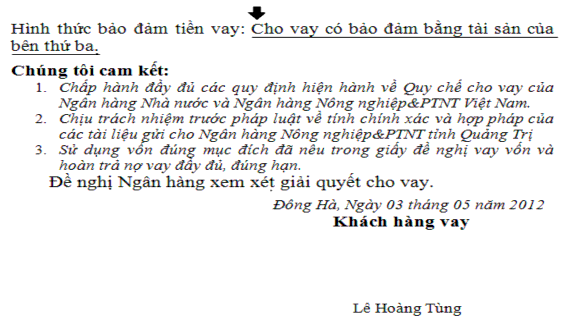 Theo Quyết định của DNTN Sao Việt về việc vay vốn ngân hàng trong hồ sơ pháp 2