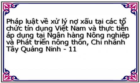 Pháp luật về xử lý nợ xấu tại các tổ chức tín dụng Việt Nam và thực tiễn áp dụng tại Ngân hàng Nông nghiệp và Phát triển nông thôn, Chi nhánh Tây Quảng Ninh - 11