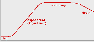 Hình 6 3 A Các tế bào vi khuẩn E coli đang phân chia bên trái và đường cong sinh 4