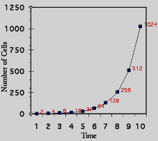 Hình 6 3 Các đường cong sinh trưởng Đồ thị bên trái cho thấy tốc độ sinh 5