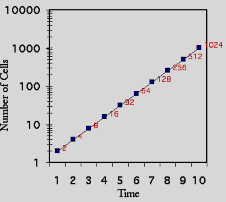 Hình 6 3 Các đường cong sinh trưởng Đồ thị bên trái cho thấy tốc độ sinh 6