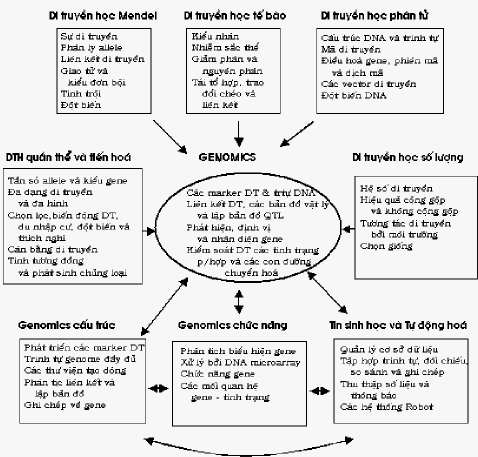 Hình 1 10 Genomics một môn học rộng lớn xâm nhập vao các khu vực truyền thống 1