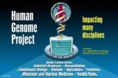 Hình 8 22 Biểu tượng của HGP cho thấy tác động của dự án này lên nhiều lĩnh 2