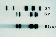 Hình 8 24 a Các mẫu dùng cho xét nghiệm và phân tích DNA một giọt máu một cái 6