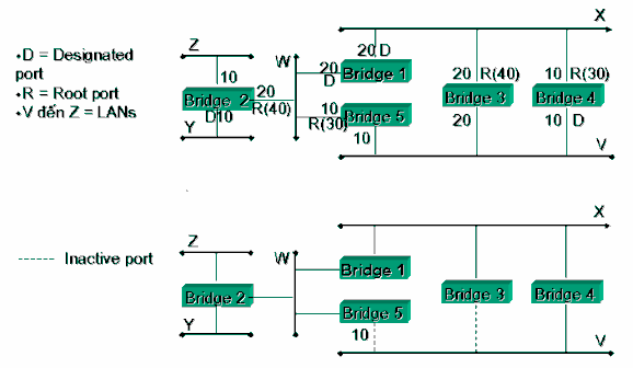 Hình 3 5 – Mạng xây dựng lại bằng giải thuật Spanning tree 3 2 2 Cầu nối xác 3