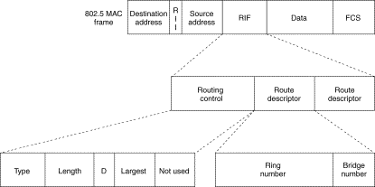 Hình 3 7 Cấu trúc của trường thông tin về đường đi Trong đó  Routing Control 5