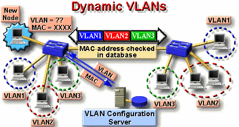 Hình 6 7 –Cài đặt VLAN động 6 8 Mô hình thiết kế VLAN với mạng đường trục 7