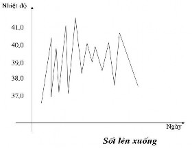 Theo th ờ i gian s ố t Sốt cấp tính Febris acuta sốt trong 2 tuần đến 1 tháng 2