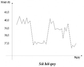 sốt Kỳ không sốt có khi 1 ngày 2 ngày có bệnh hàng tháng mới sốt lại ví dụ 4
