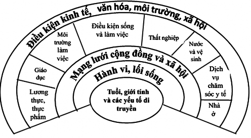 h ình 2 2 Mô hình các yếu tố ảnh hưởng đến sức khỏe của Dahlgren và 1