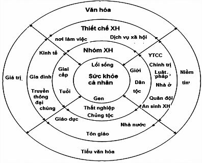 h ình 2 3 Mô hình các yếu tố xã hội ảnh hưởng đến sức khoẻ ‌ John Germov 2