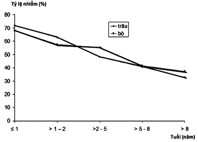 h ình 7 10 Đồ thị biểu diễn tỷ lệ nhiễm giun xoăn dạ múi khế theo tuổi 4
