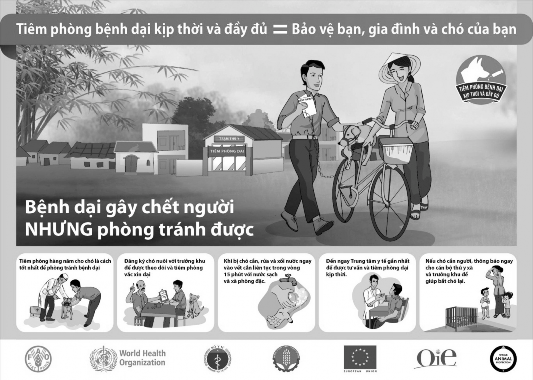 h ình 8 1 Áp phích truyền thông phòng bệnh dại Nguồn wpro who int Ví dụ Tỉnh A 1