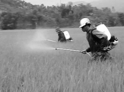 h ình 5 11 Phun thuốc trừ sâu cho rau http www baobaclieu vn h ình 5 12 Phun thuốc trừ 12