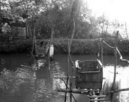 h ình 5 14 Sử dụng phân tươi tưới rau http soyte haiduong gov vn h ình 5 15 Nhà tiêu 16